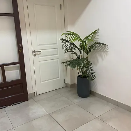 Calido Departamento Centrico. Apartment Mendoza Exterior photo